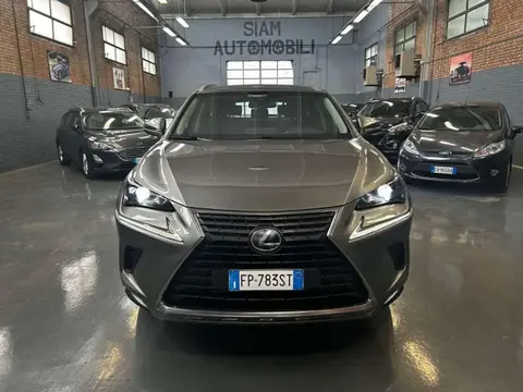 Used LEXUS NX Hybrid 2018 Ad 