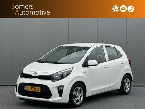 Annonce KIA PICANTO Essence 2017 d'occasion 