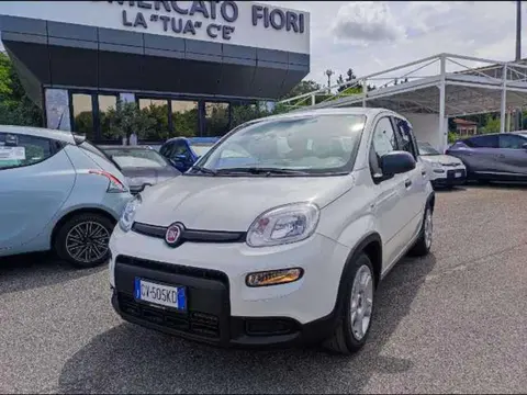 Used FIAT PANDA Hybrid 2024 Ad 