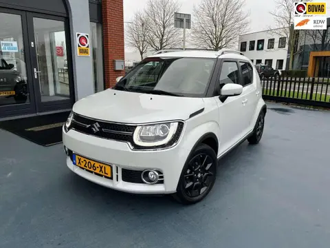 Used SUZUKI IGNIS Petrol 2020 Ad 