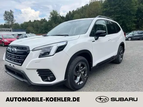 Annonce SUBARU FORESTER Essence 2024 d'occasion 