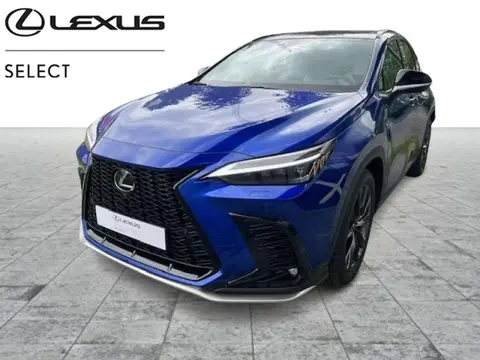 Annonce LEXUS NX Hybride 2023 d'occasion 