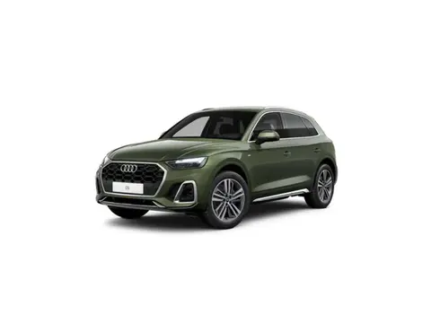 Used AUDI Q5 Hybrid 2024 Ad 