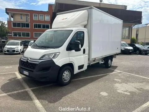 Used CITROEN JUMPER Diesel 2019 Ad 