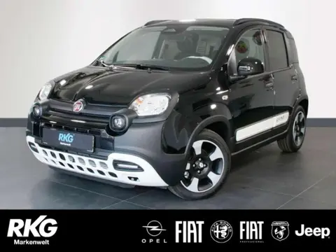 Annonce FIAT PANDA Essence 2024 d'occasion 