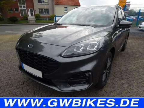 Annonce FORD KUGA Hybride 2022 d'occasion 