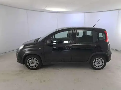 Annonce FIAT PANDA Hybride 2024 d'occasion 