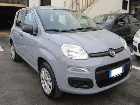 Annonce FIAT PANDA  2018 d'occasion 