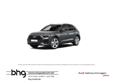 Used AUDI Q5 Hybrid 2021 Ad 