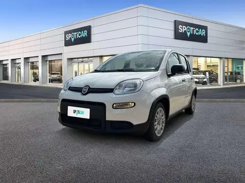 Annonce FIAT PANDA Essence 2023 d'occasion 