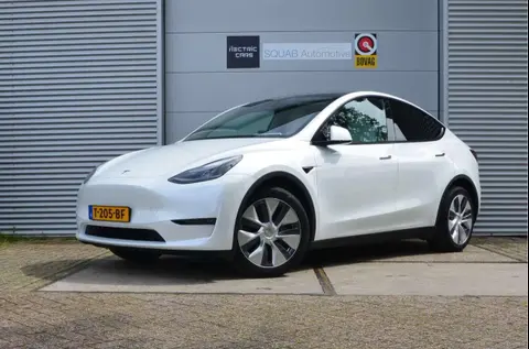 Annonce TESLA MODEL Y Électrique 2023 d'occasion 