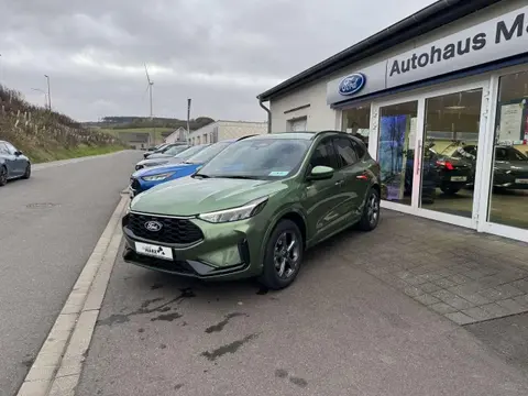 Used FORD KUGA Petrol 2024 Ad 