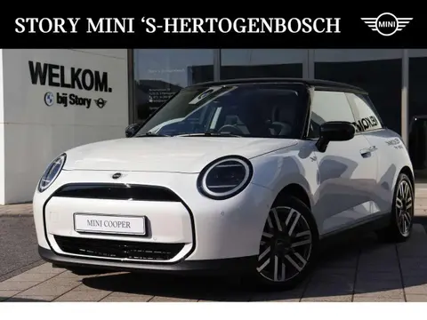 Used MINI COOPER Electric 2024 Ad 