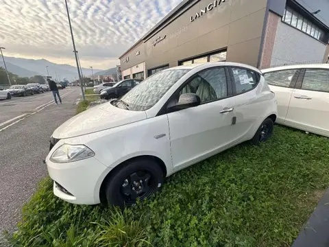 Annonce LANCIA YPSILON Hybride 2024 d'occasion 