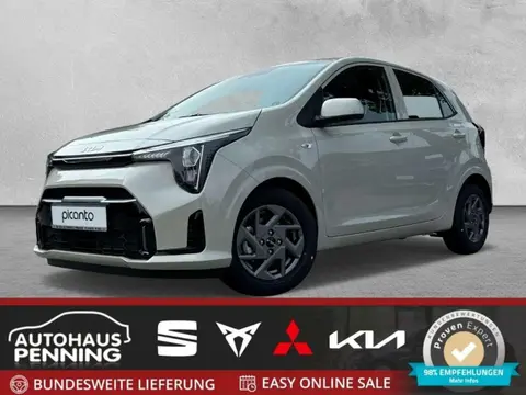 Used KIA PICANTO Petrol 2024 Ad 