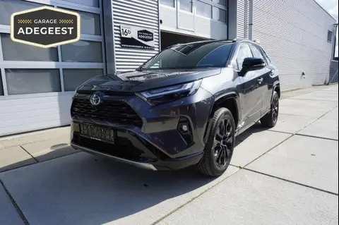 Annonce TOYOTA RAV4 Hybride 2024 d'occasion 