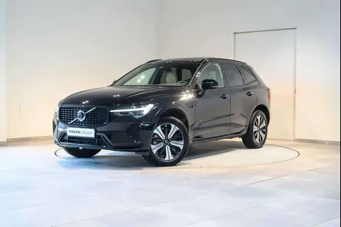 Annonce VOLVO XC60 Hybride 2023 d'occasion 