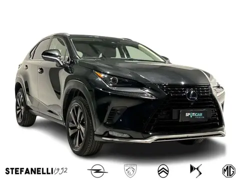 Annonce LEXUS NX Hybride 2022 d'occasion 