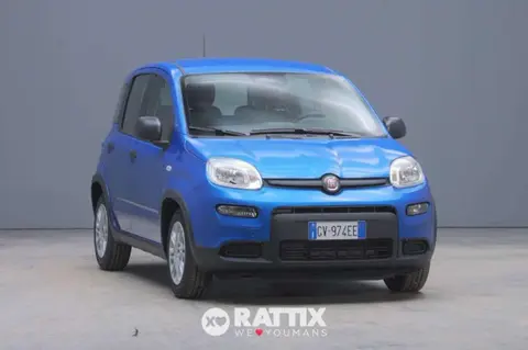 Annonce FIAT PANDA Hybride 2024 d'occasion 