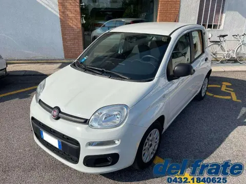 Annonce FIAT PANDA Essence 2019 d'occasion 