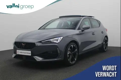 Annonce CUPRA LEON Essence 2023 d'occasion 