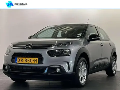 Annonce CITROEN C4 Essence 2019 d'occasion 