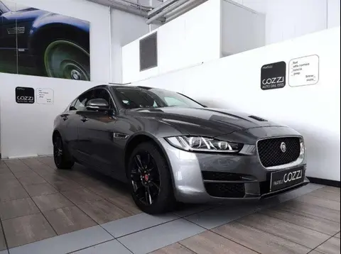 Used JAGUAR XE Diesel 2019 Ad 