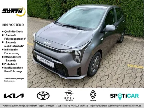 Used KIA PICANTO Petrol 2024 Ad 