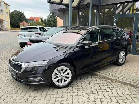 Annonce SKODA OCTAVIA Diesel 2021 d'occasion 