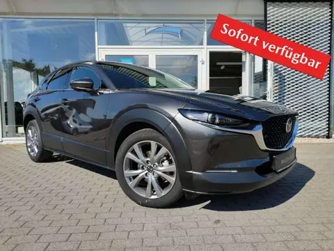 Used MAZDA CX-30 Petrol 2024 Ad 