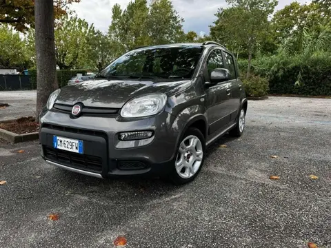 Used FIAT PANDA Hybrid 2023 Ad 