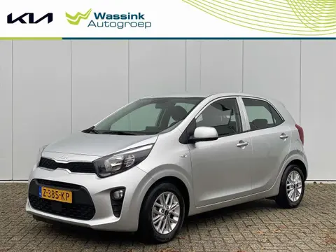 Used KIA PICANTO Petrol 2024 Ad 