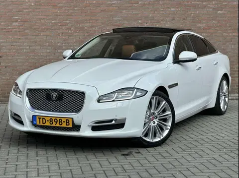 Used JAGUAR XJ Diesel 2018 Ad 