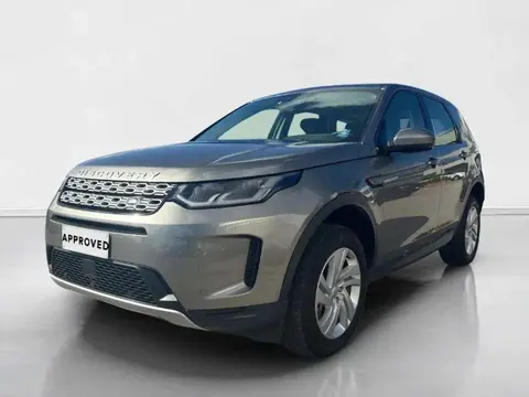 Used LAND ROVER DISCOVERY Hybrid 2022 Ad 