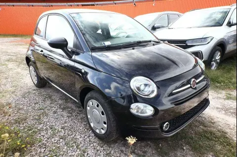 Used FIAT 500 Petrol 2023 Ad 