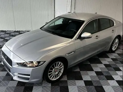 Annonce JAGUAR XE Diesel 2016 d'occasion 