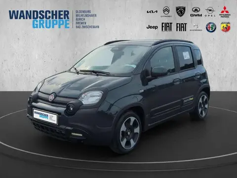 Used FIAT PANDA Hybrid 2024 Ad 