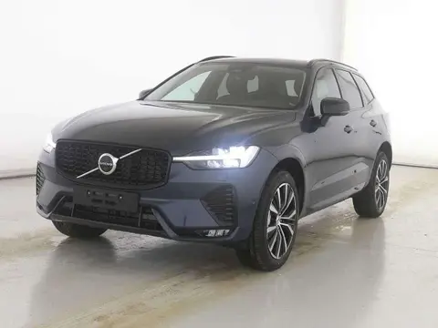 Used VOLVO XC60 Petrol 2024 Ad 