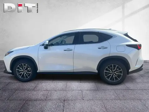 Used LEXUS NX Hybrid 2024 Ad 