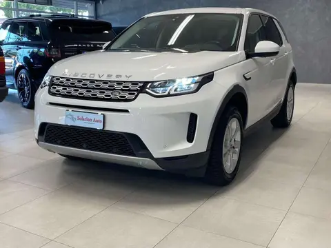 Used LAND ROVER DISCOVERY Hybrid 2021 Ad 