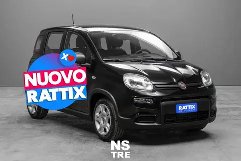 Annonce FIAT PANDA Hybride 2024 d'occasion 