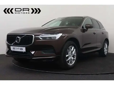 Annonce VOLVO XC60 Diesel 2019 d'occasion 