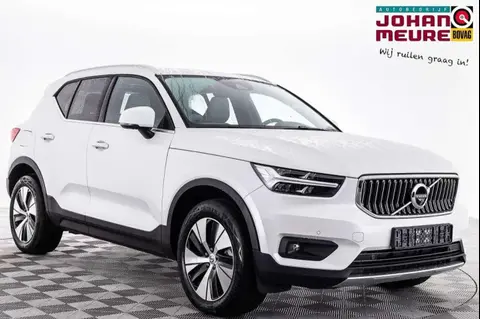 Annonce VOLVO XC40 Hybride 2021 d'occasion 