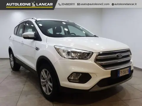 Used FORD KUGA Petrol 2019 Ad 