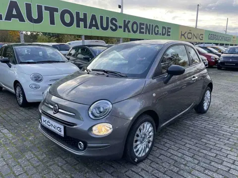 Used FIAT 500 Petrol 2023 Ad 