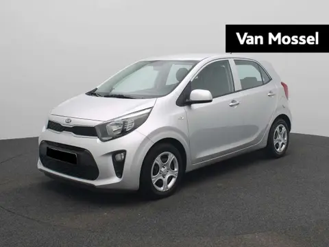 Used KIA PICANTO Petrol 2019 Ad 