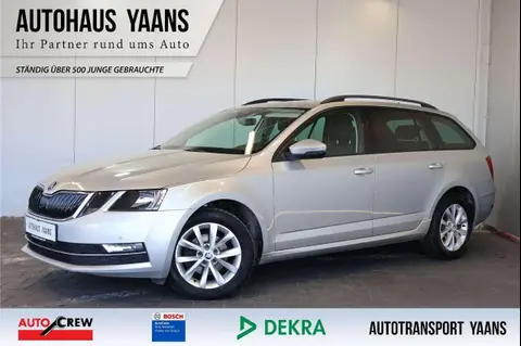 Annonce SKODA OCTAVIA Diesel 2019 d'occasion 