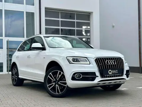 Used AUDI Q5 Diesel 2017 Ad 