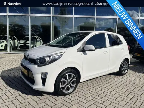 Used KIA PICANTO Petrol 2019 Ad 