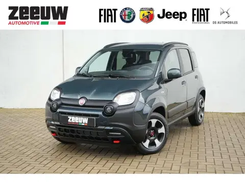 Annonce FIAT PANDA Essence 2024 d'occasion 